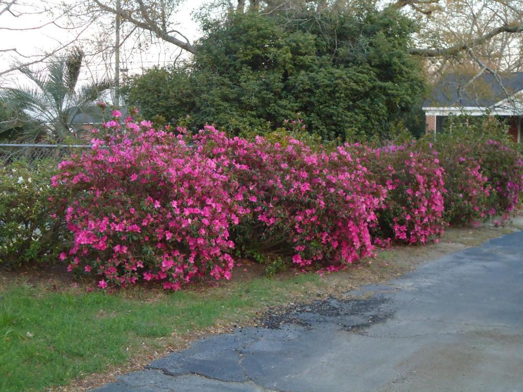 Edenfield House Bed & Breakfast Swainsboro Exterior photo