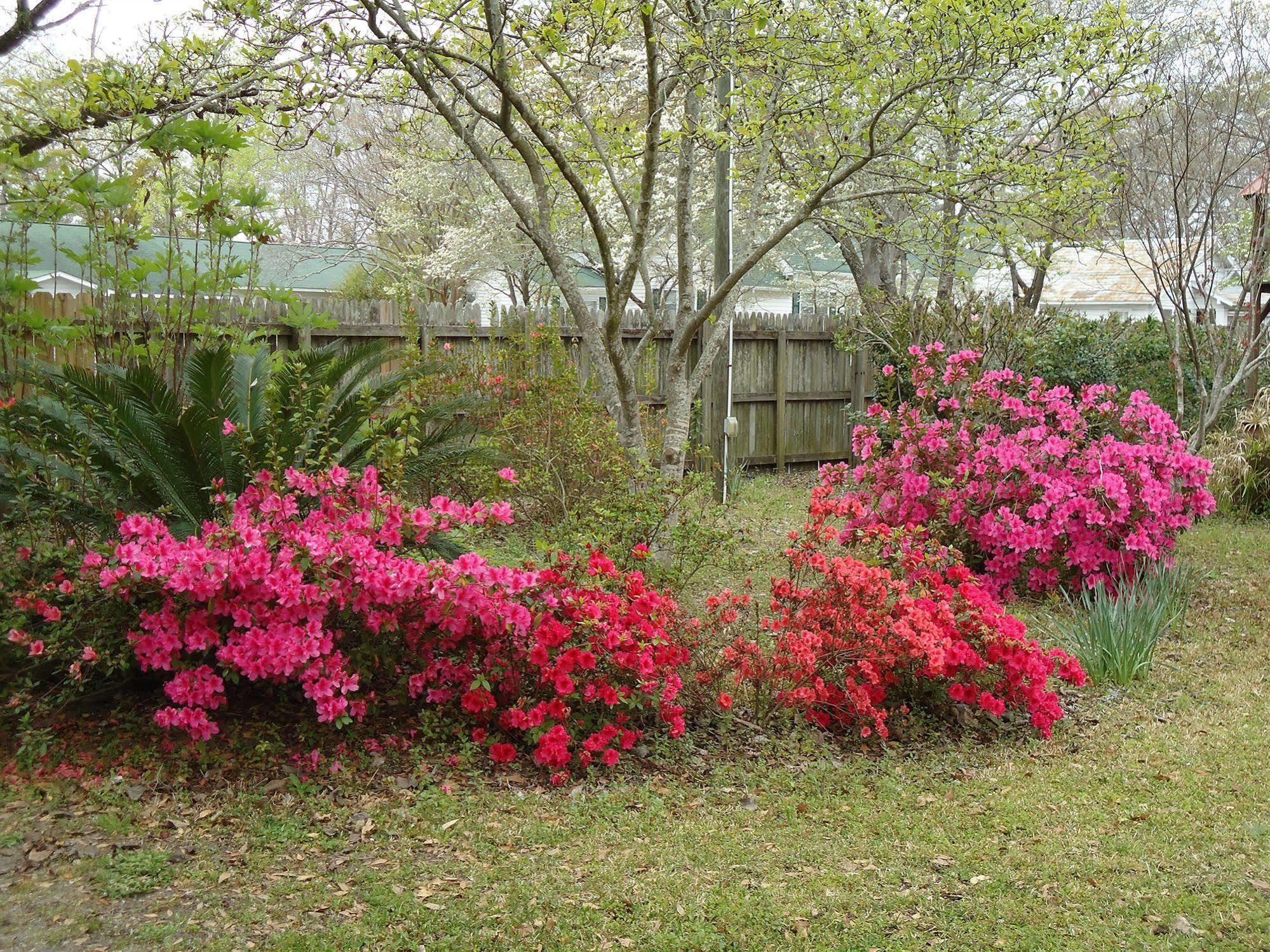 Edenfield House Bed & Breakfast Swainsboro Exterior photo